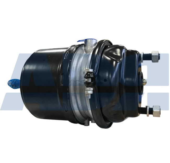 Clutch Disc (92553303)