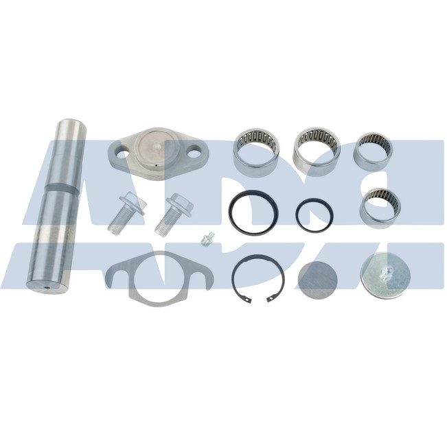 Repair Kit, kingpin (71519503)