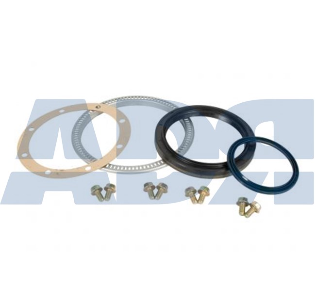 Repair Kit, wheel hub (28539724)