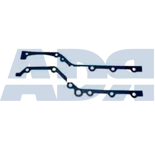 Gasket, timing case (78539765)