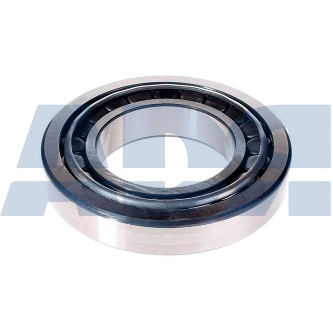 Wheel Bearing (32519200)