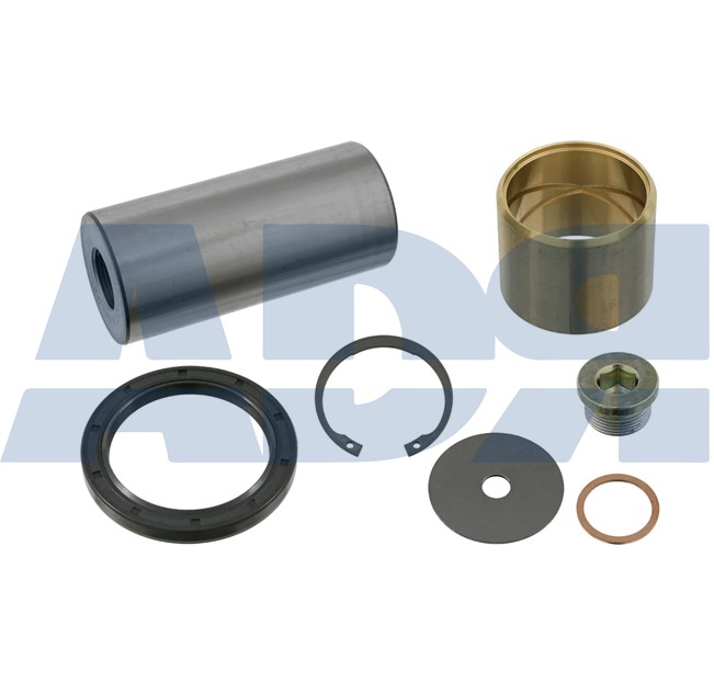 Repair Kit, kingpin (71539579)