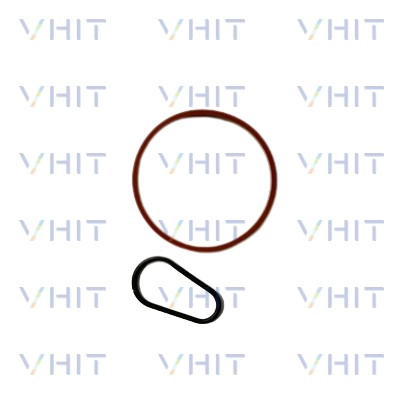 Seal Set, vacuum pump (F009D02040)