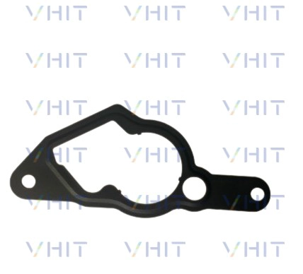 Gasket, vacuum pump (F009D03117)