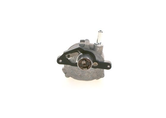 Vacuum Pump, braking system (F009D03116)
