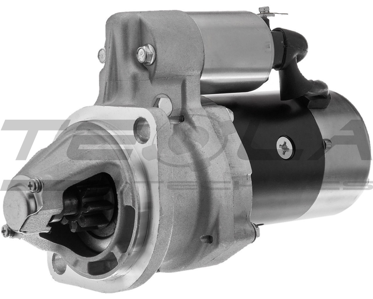 Starter (TT16041)