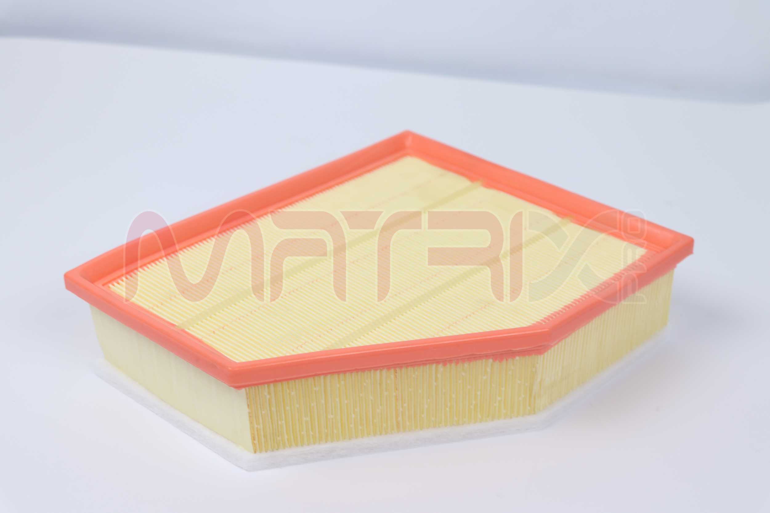 Air Filter (MX01094170)