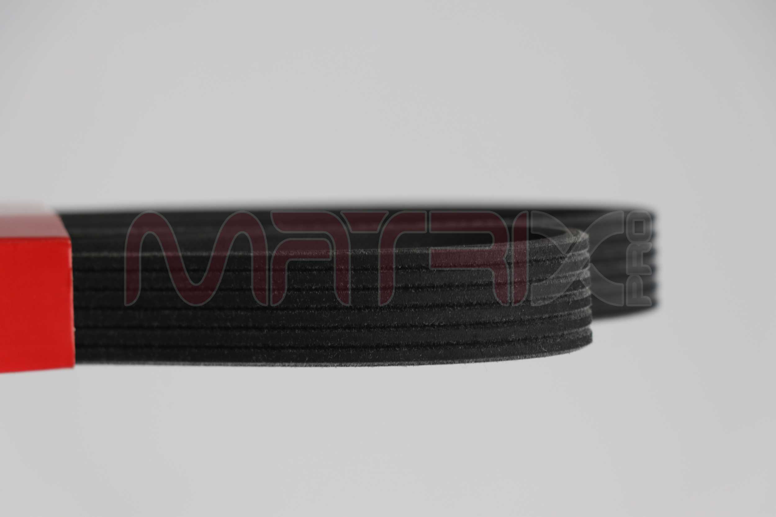 V-Ribbed Belt (MX6PK906)