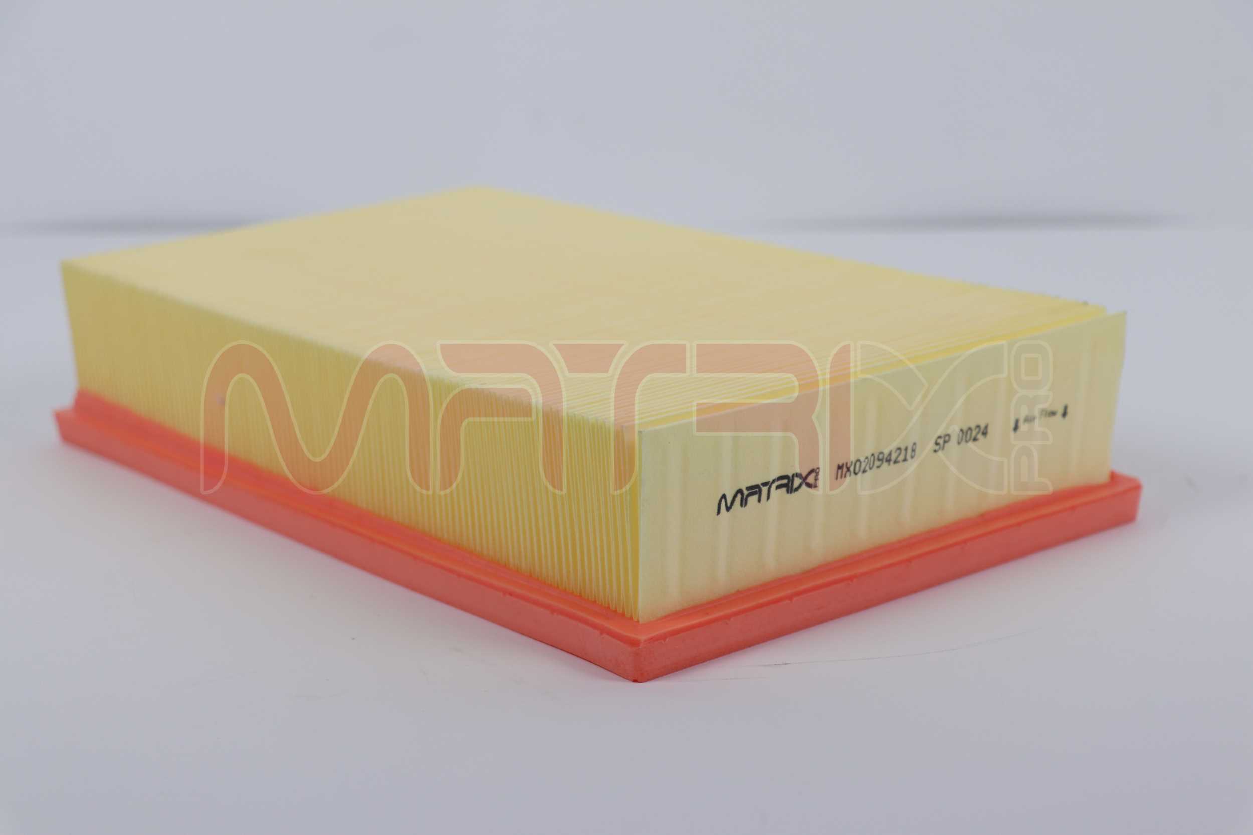 Air Filter (MX02094218)