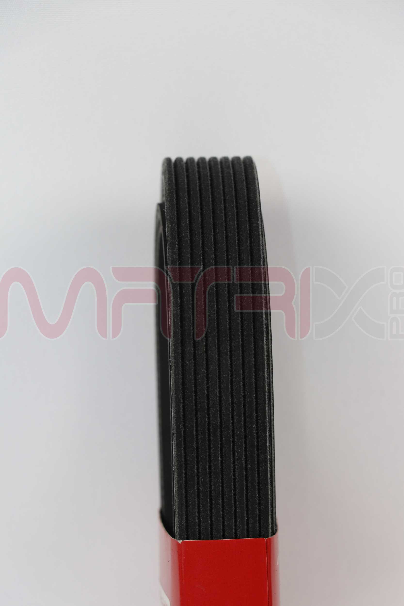 V-Ribbed Belt (MX8PK1786)