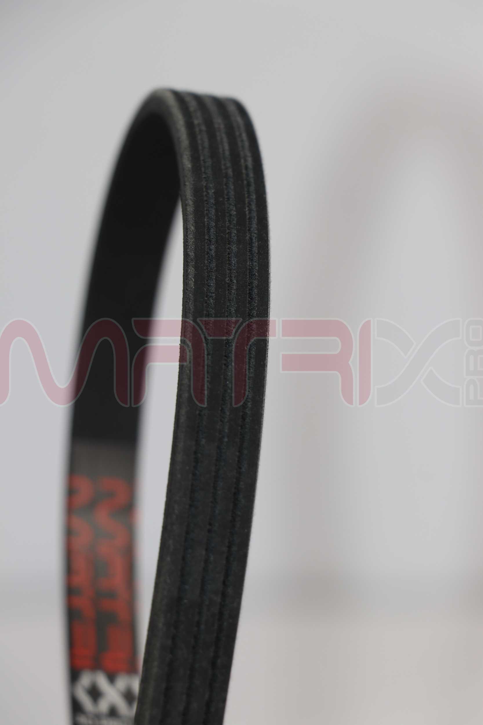 V-Ribbed Belt (MX4PK855)