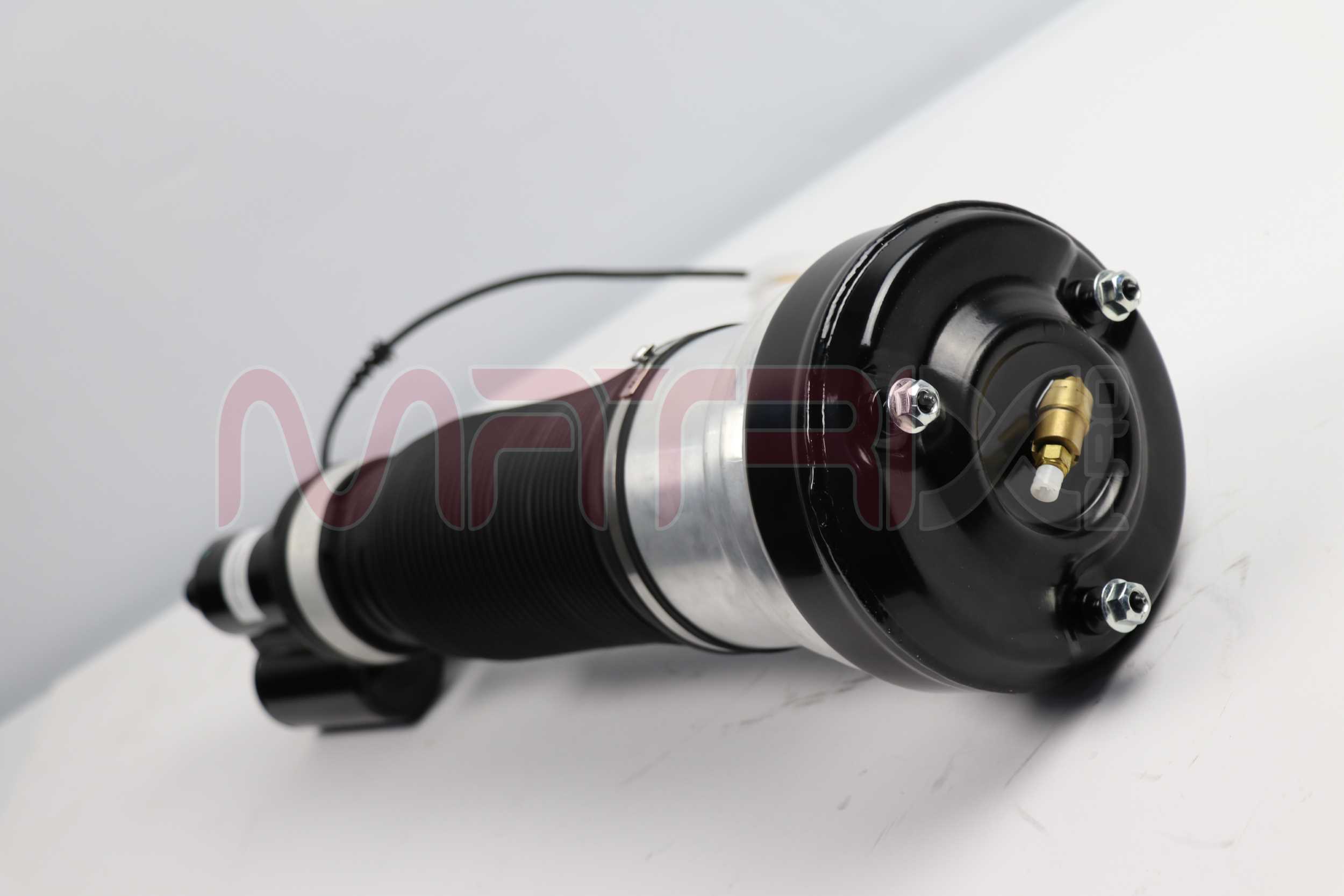 Air Suspension Strut (MX02320233)