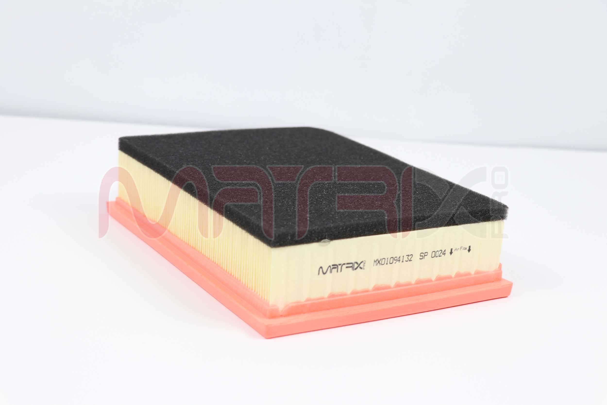 Air Filter (MX01094132)
