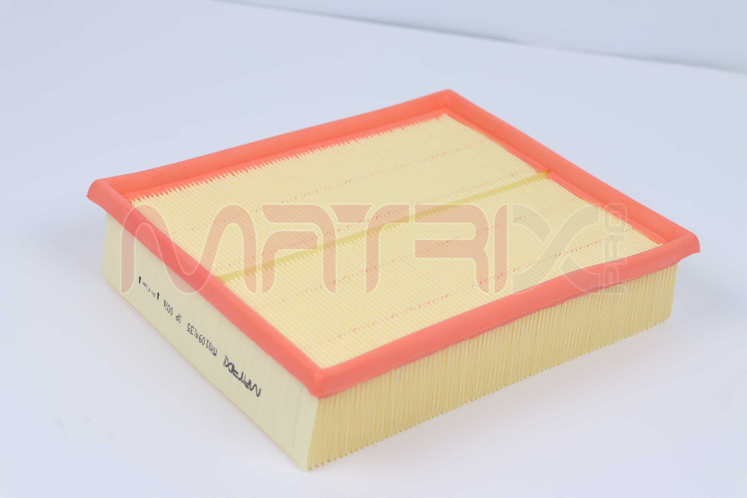 Air Filter (MX01094135)