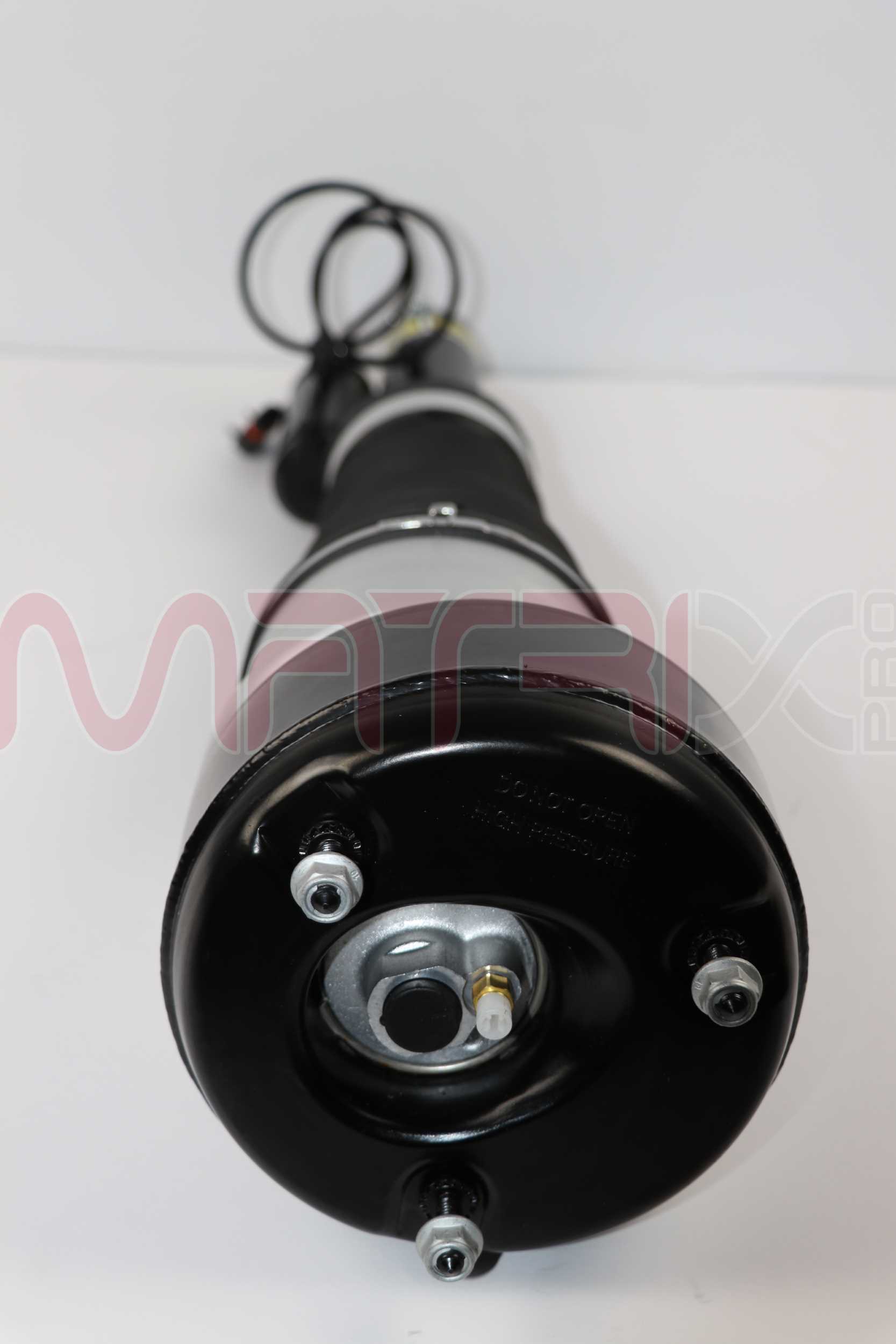 Air Suspension Strut (MX02320115)