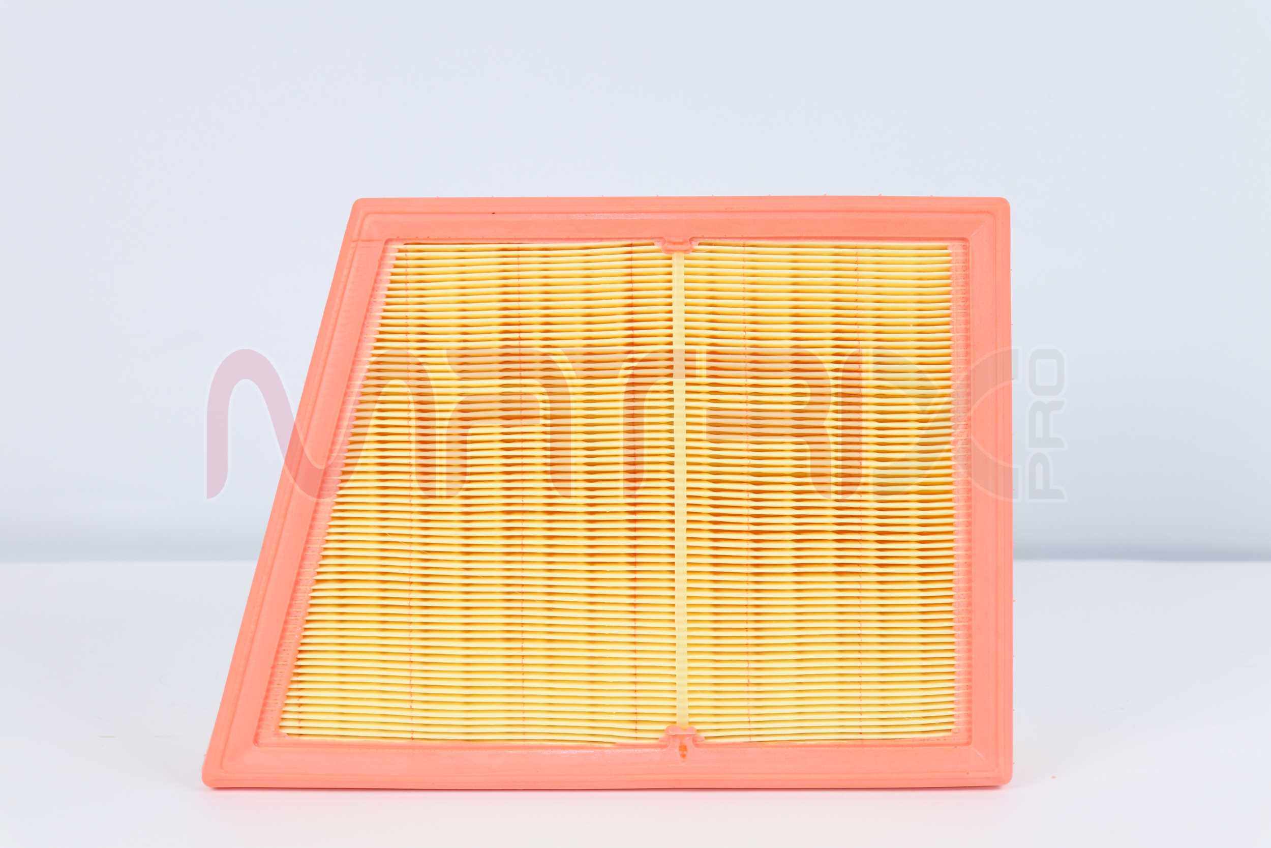 Air Filter (MX01094169)