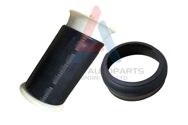 Air Spring, suspension (80017)