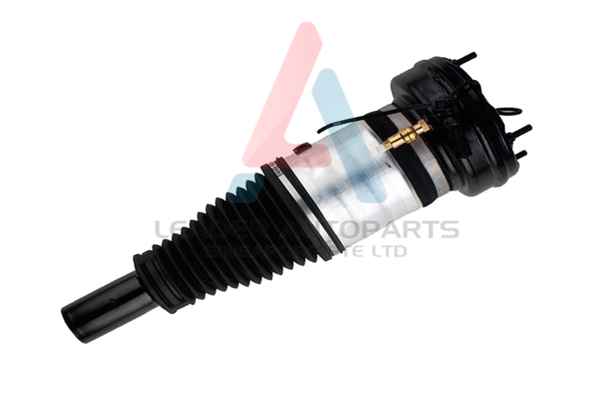 Air Spring, suspension (80003)