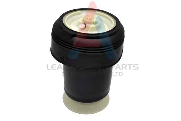 Air Spring, suspension (80020)