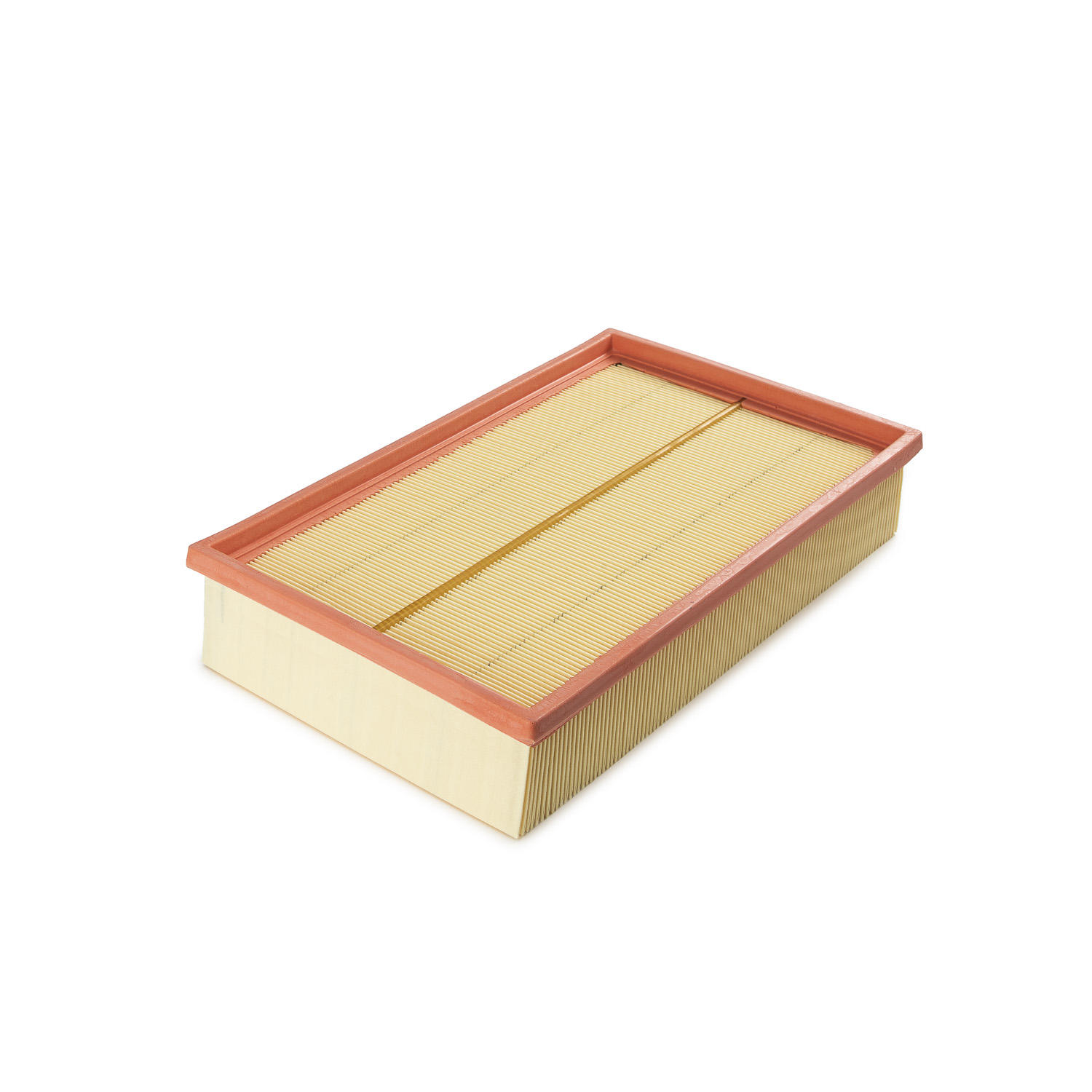 Air Filter (19524084)