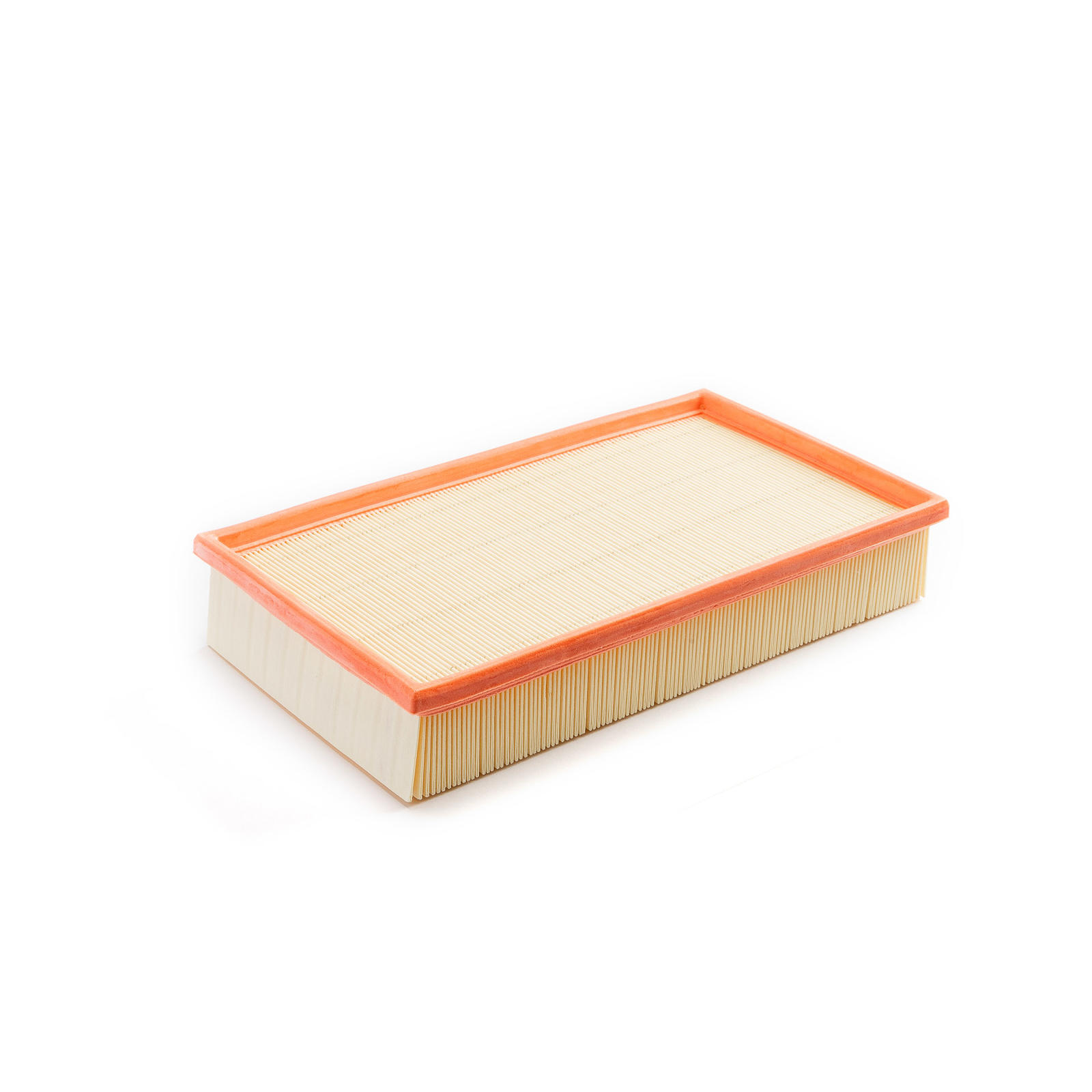 Air Filter (19524083)