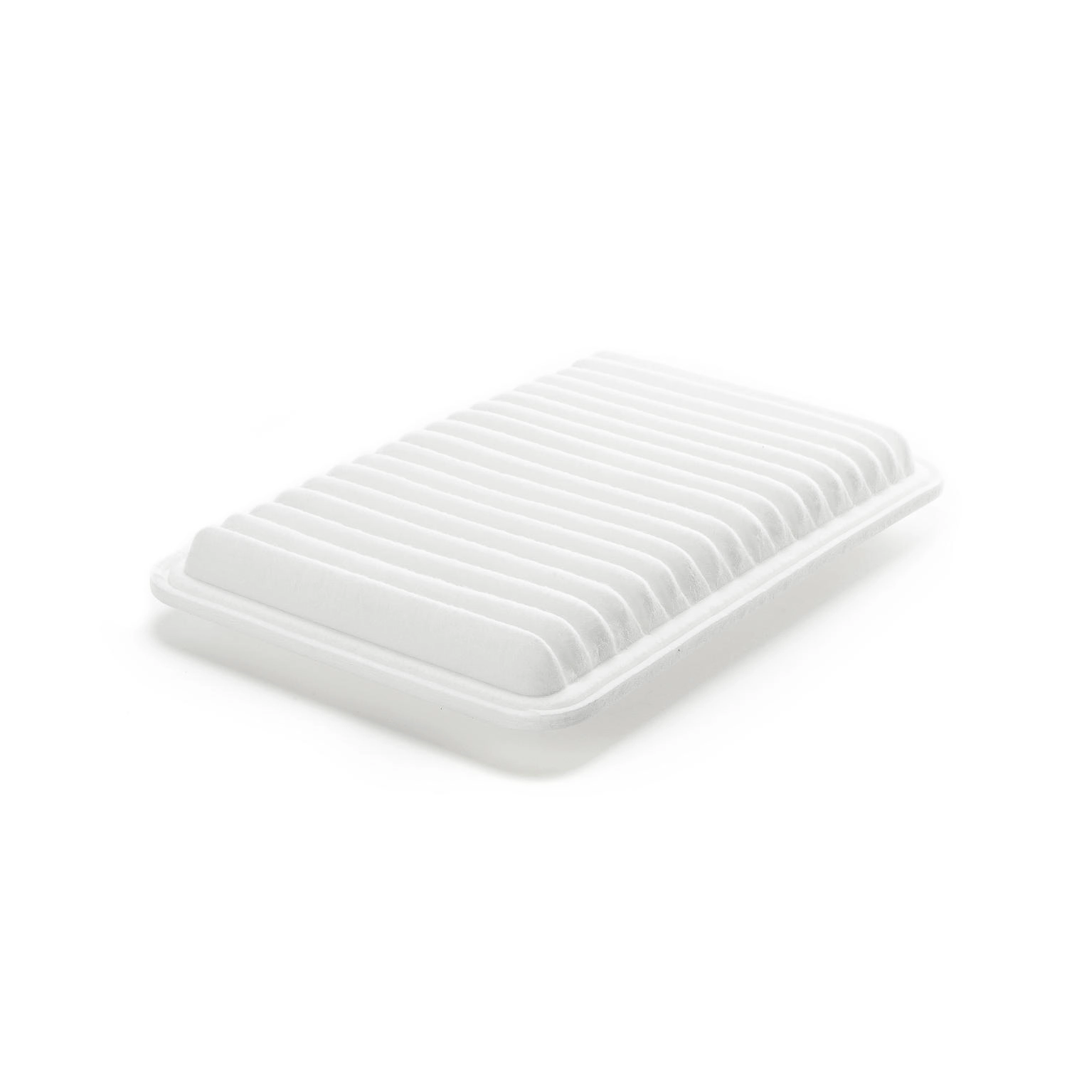 Air Filter (19282660)