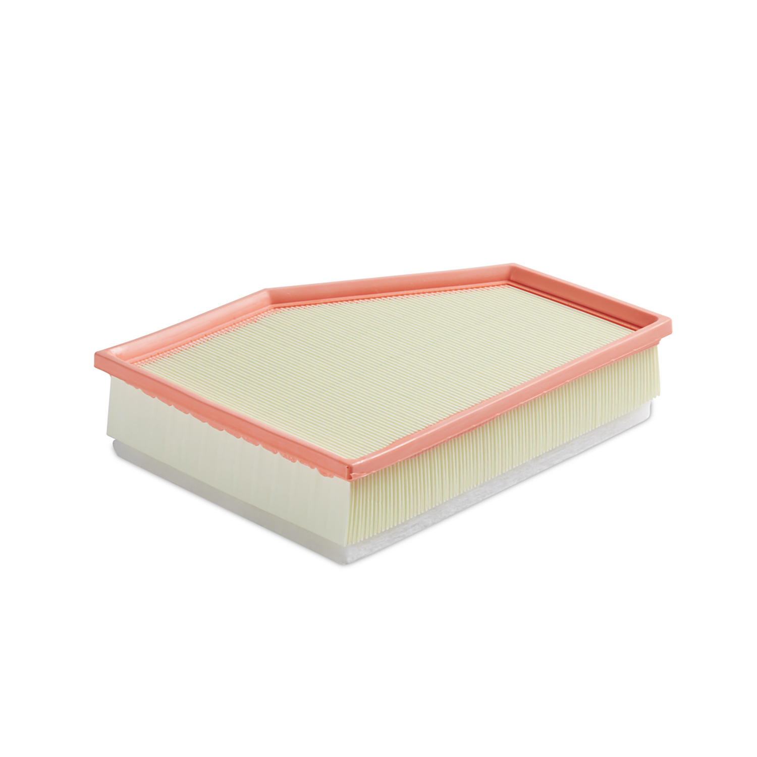 Air Filter (19524082)