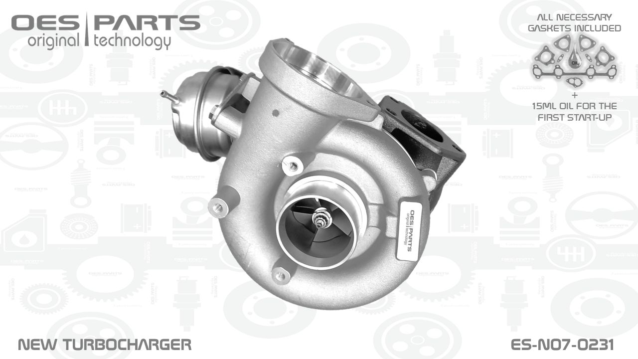 Charger, charging (supercharged/turbocharged) (ES-N07-0231)