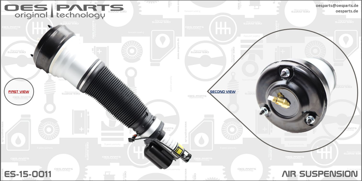 Air Suspension Strut (ES-15-0011)