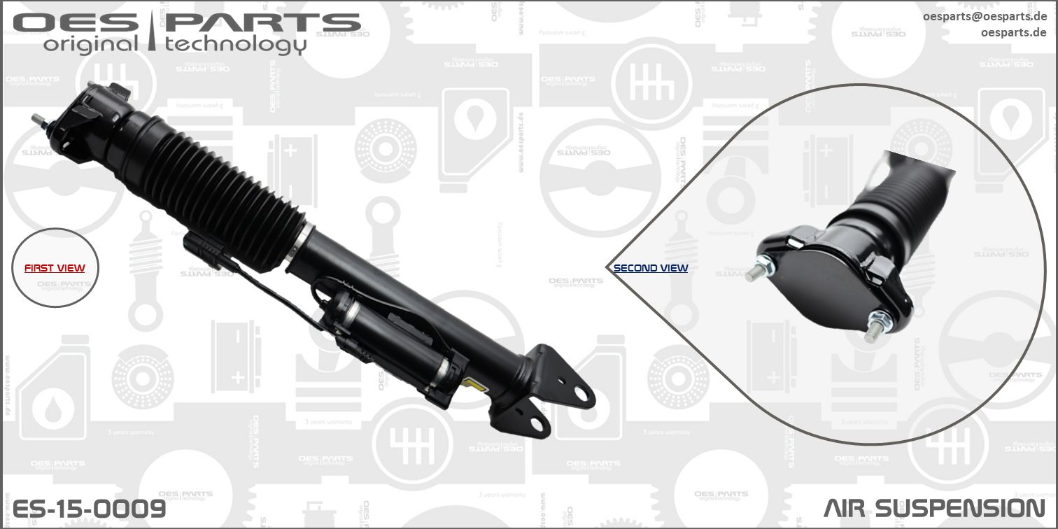 Air Suspension Strut (ES-15-0009)