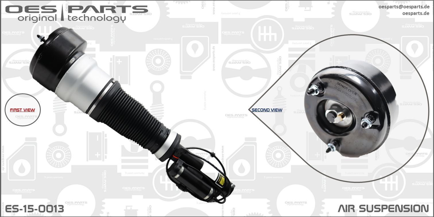 Air Suspension Strut (ES-15-0013)