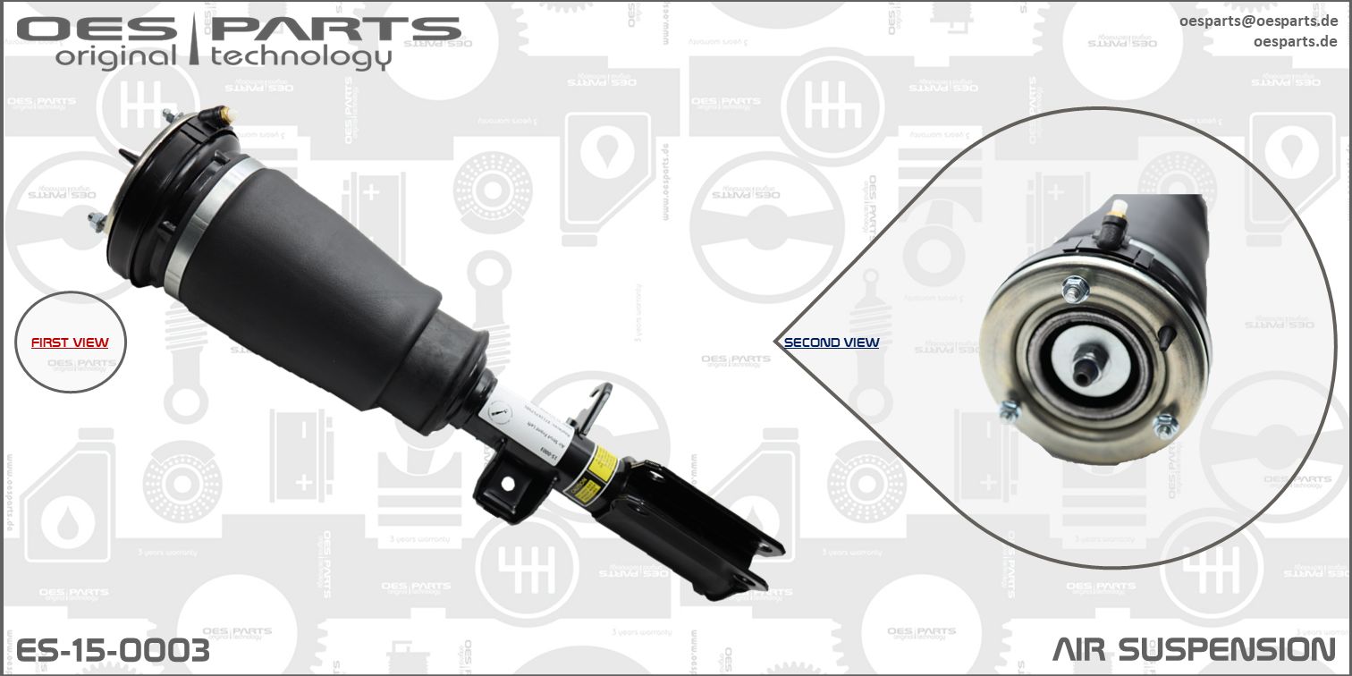 Air Suspension Strut (ES-15-0003)
