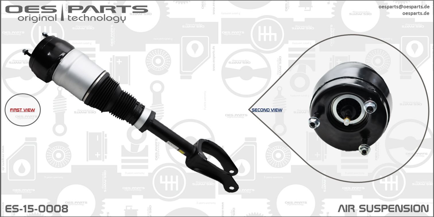 Air Suspension Strut (ES-15-0008)
