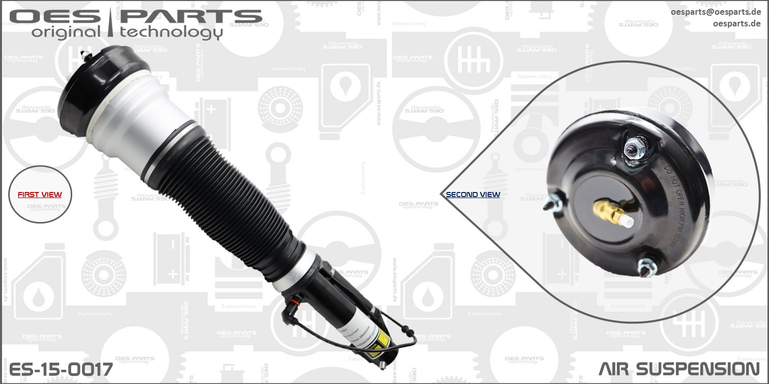 Air Suspension Strut (ES-15-0017)