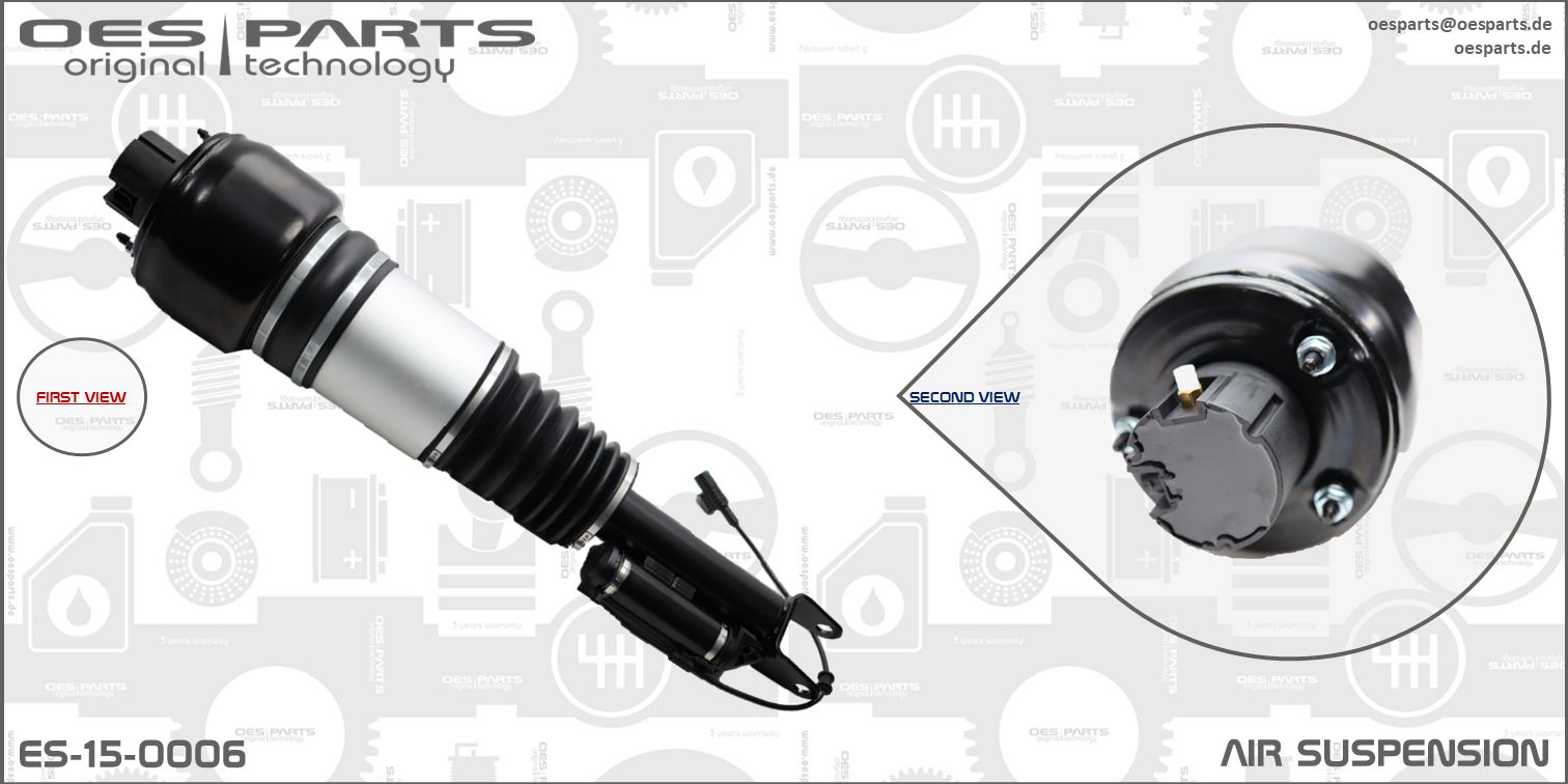 Air Suspension Strut (ES-15-0006)