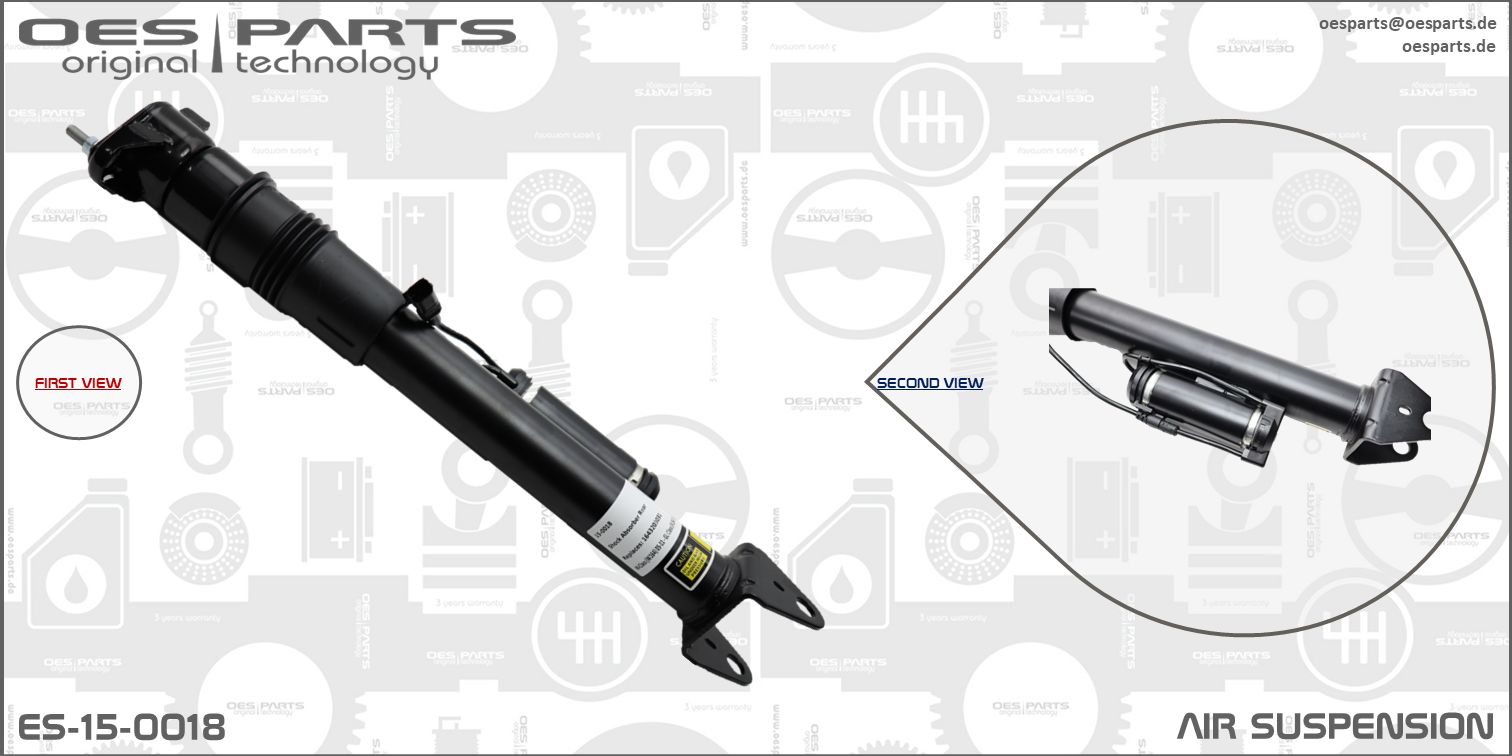 Air Suspension Strut (ES-15-0018)