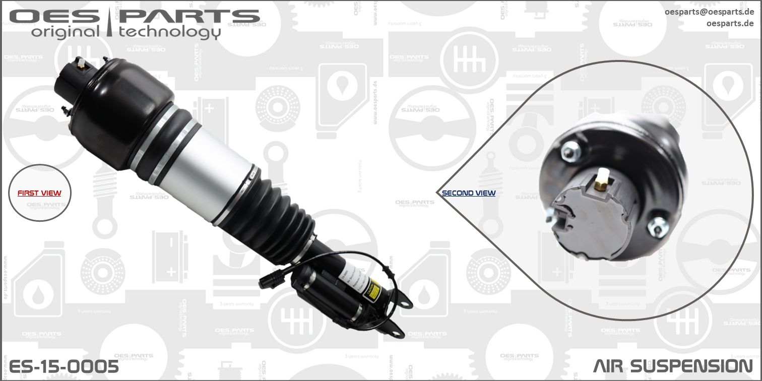 Air Suspension Strut (ES-15-0005)