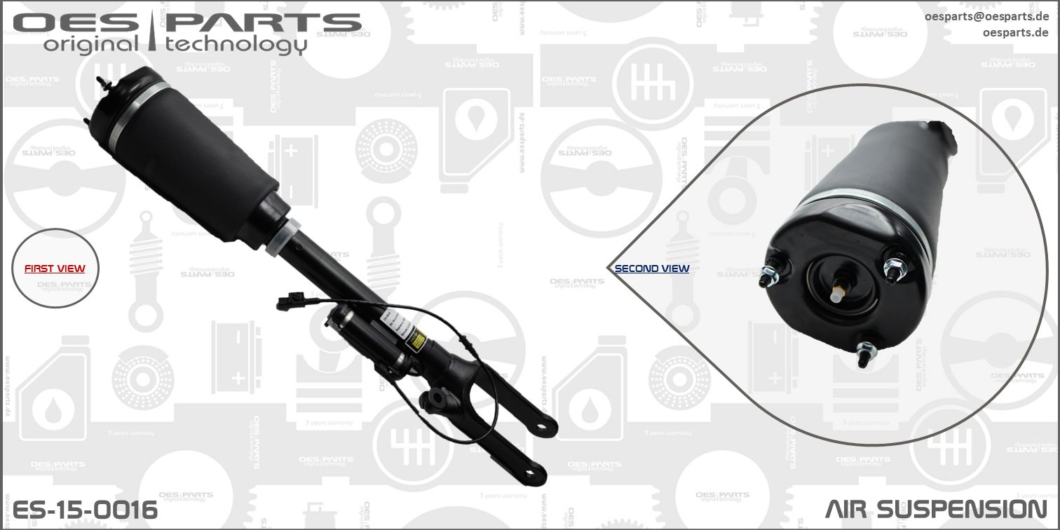 Air Suspension Strut (ES-15-0016)