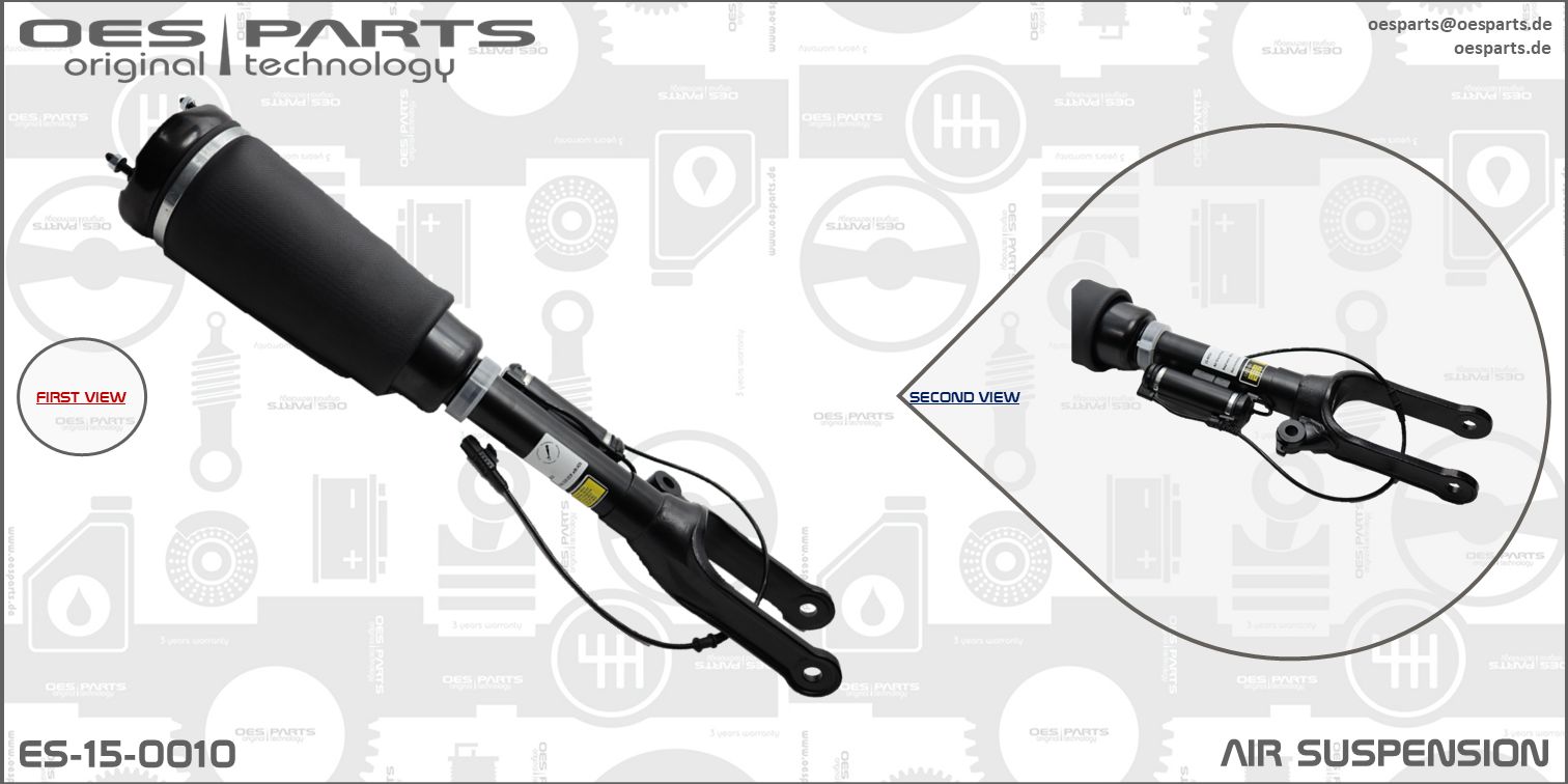 Air Suspension Strut (ES-15-0010)