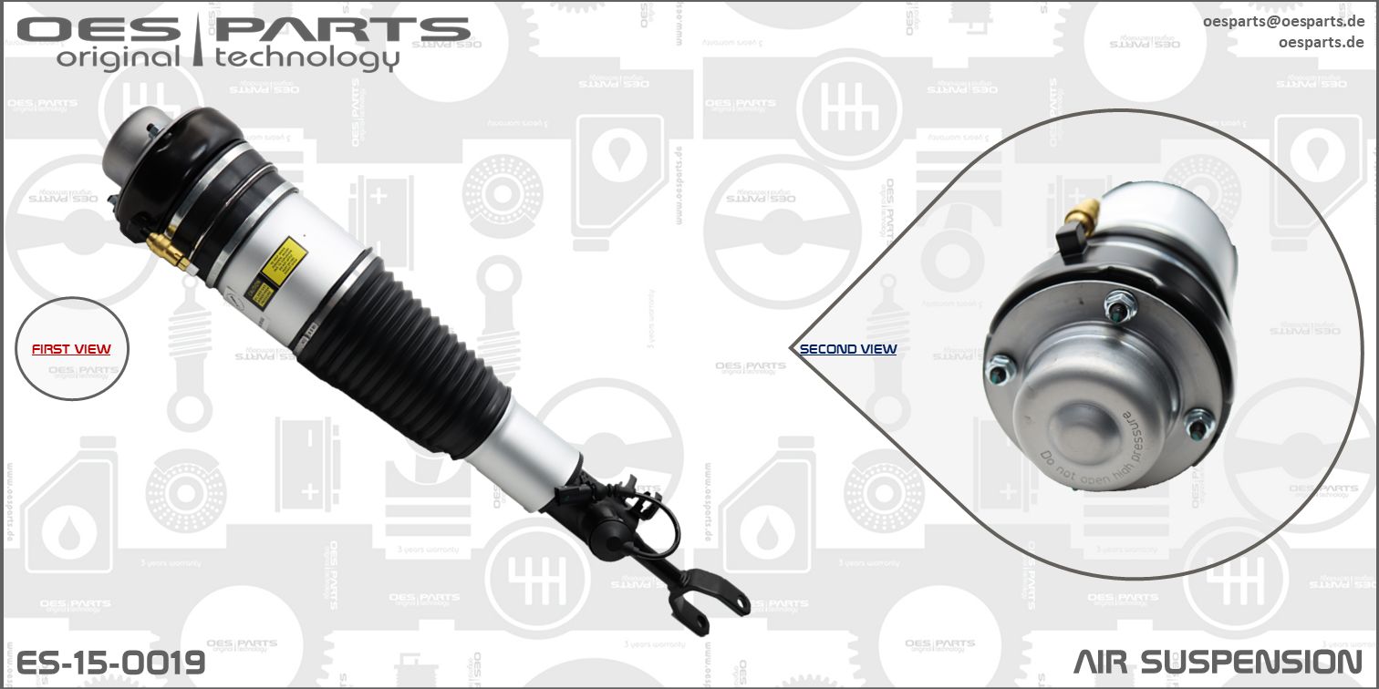 Air Suspension Strut (ES-15-0019)