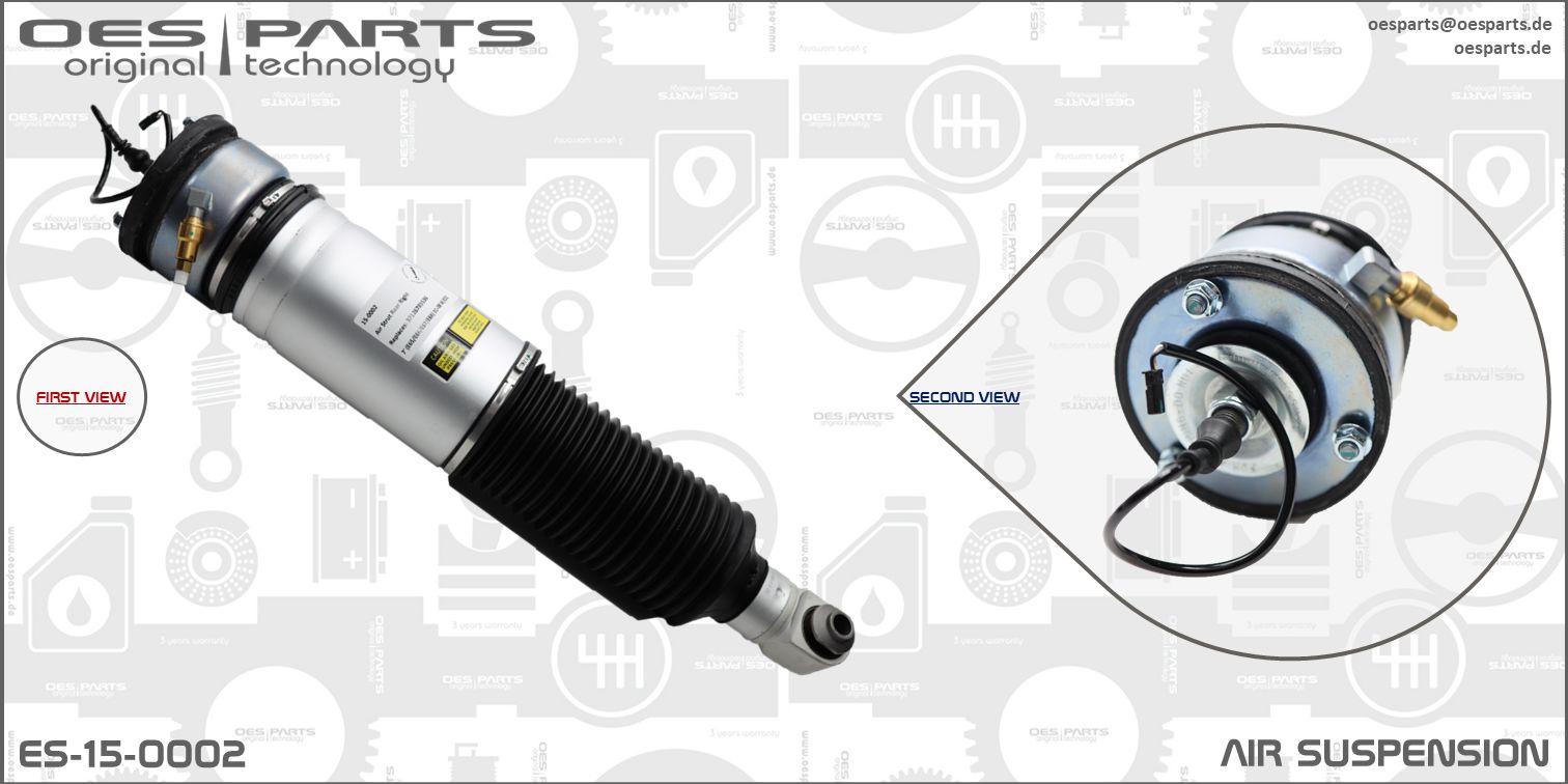 Air Suspension Strut (ES-15-0002)