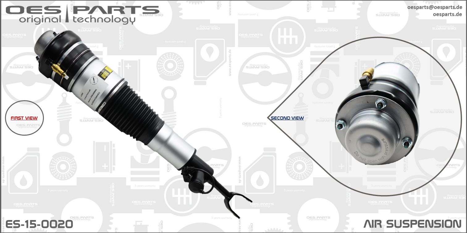 Air Suspension Strut (ES-15-0020)