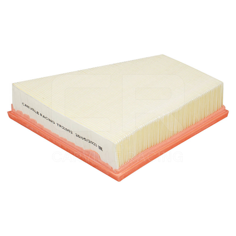Air Filter (TR22952)