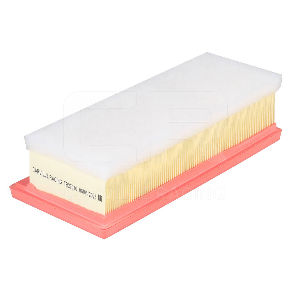 Air Filter (TR27030)