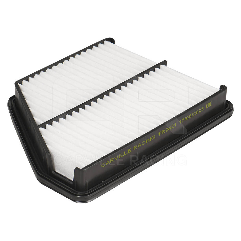 Air Filter (TR2421)