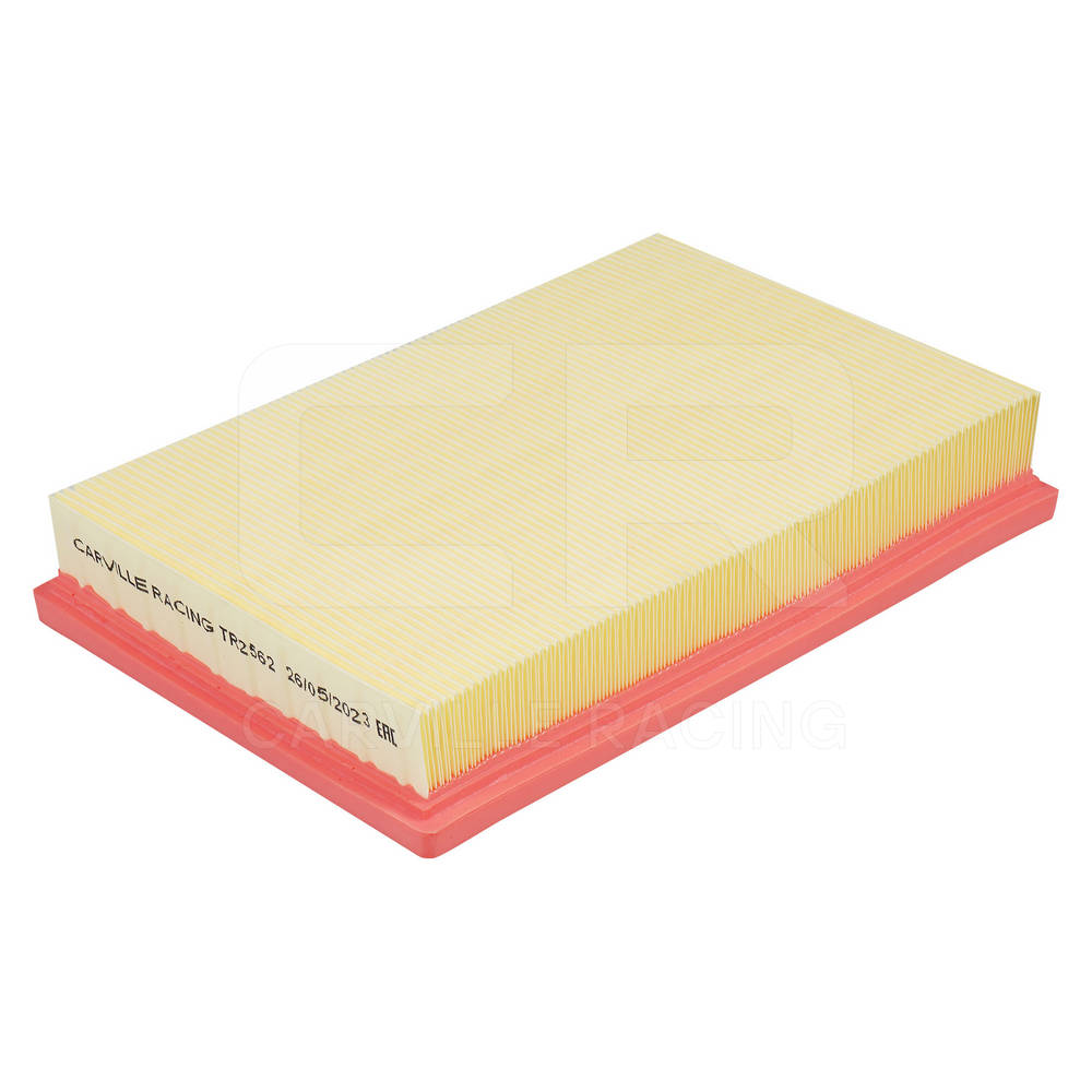 Air Filter (TR2562)