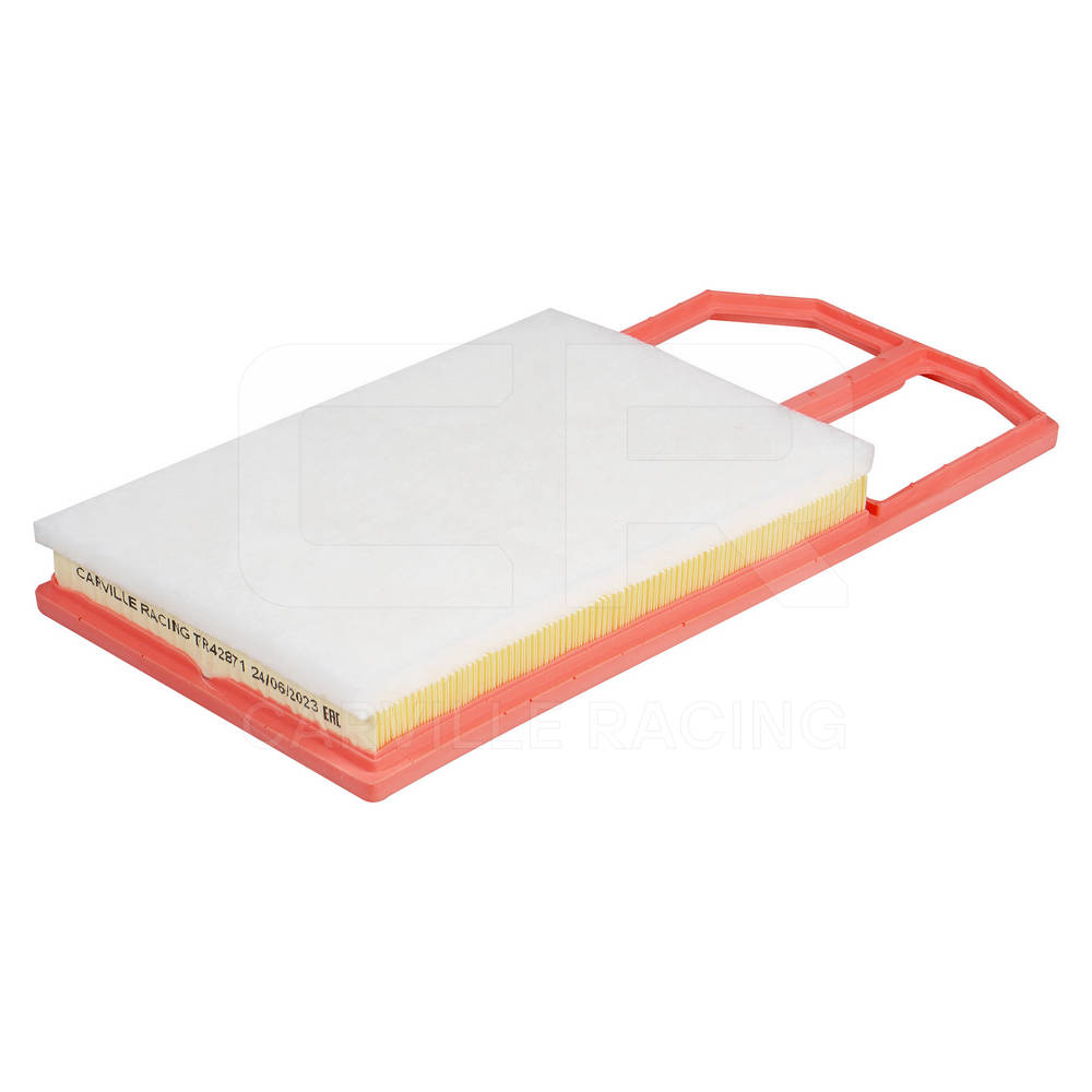 Air Filter (TR42871)
