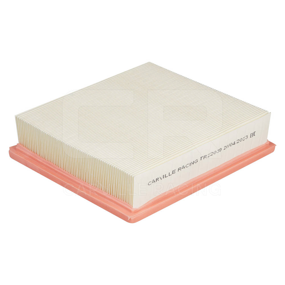 Air Filter (TR22039)