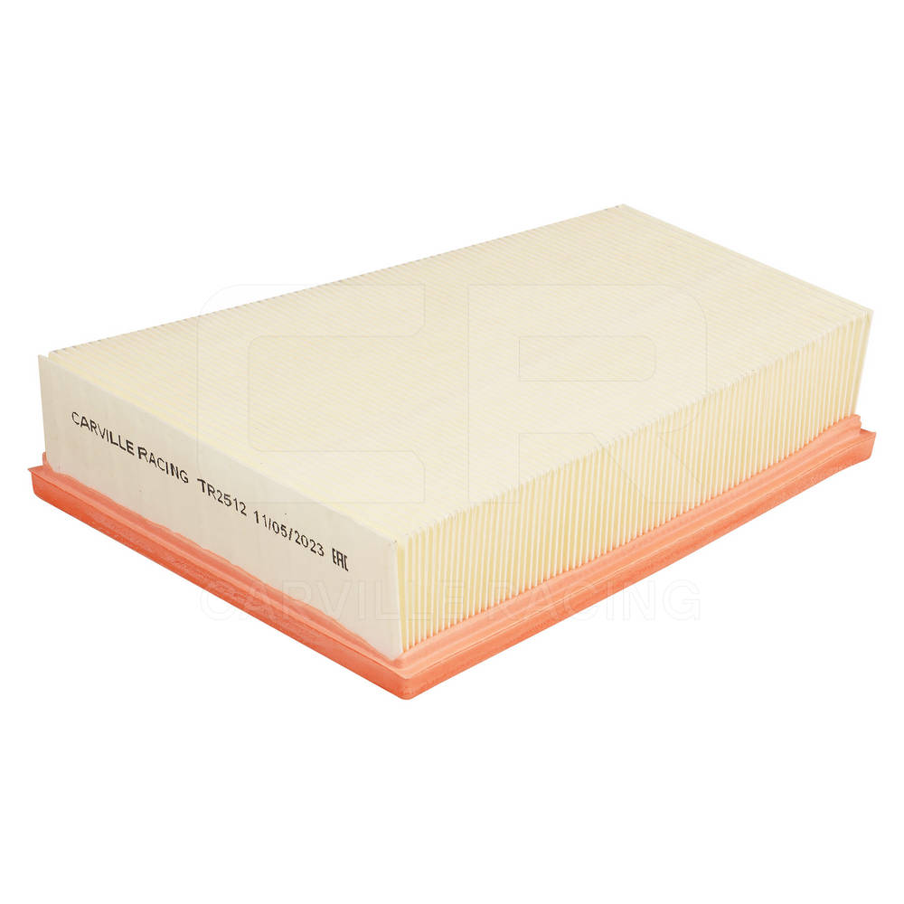 Air Filter (TR2512)