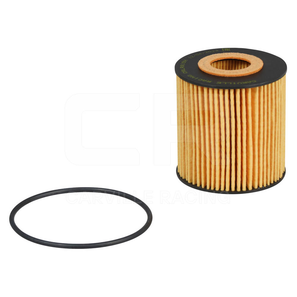 Oil Filter (CRLR819X)